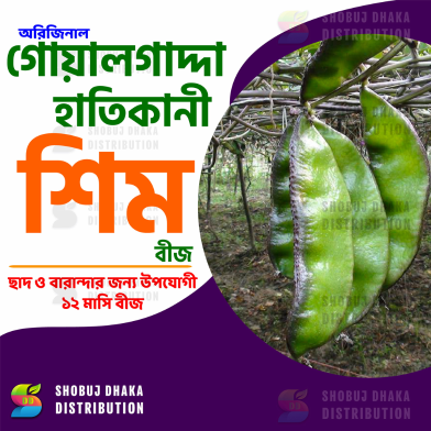 Hybrid Goalgadda Sheem Beej image