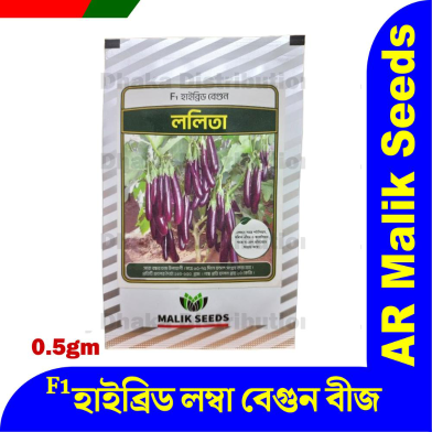 Hybrid Long Brinjal Begun Seeds Intact Pack image