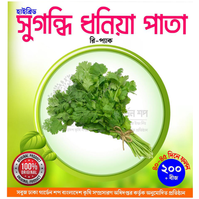 Hybrid Morocco Dhoniya Pata Seed image