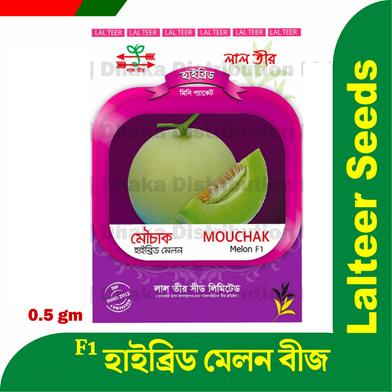 Hybrid Rock Melon Seeds Intact Pack image