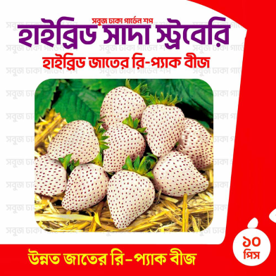 Hybrid Shada Strawberry image