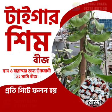 Hybrid TIGER Shim Seeds image