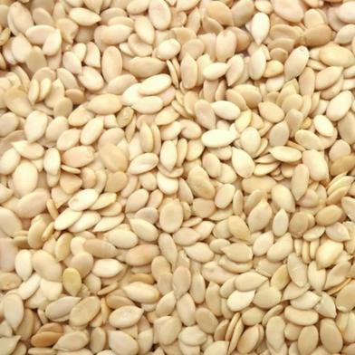 Hybrid Watermelon Gloria Super Seeds image