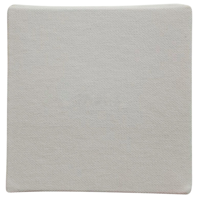 ICONIC Canvas Panel 5/5 Inch 2pc image