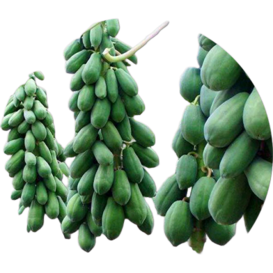 Imported Global Papaya 10 Pcs Seeds image