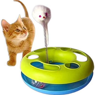 Interactive Happy Circle with Spinning Ball and Spring Catch The Mouse for Cats and Kittens Fun Toy (Malticolour) image