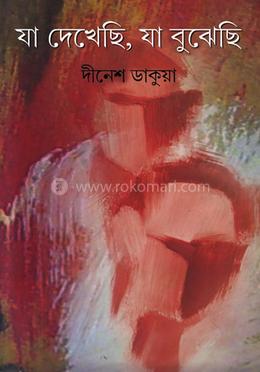 যা দেখেছি, যা বুঝেছি image