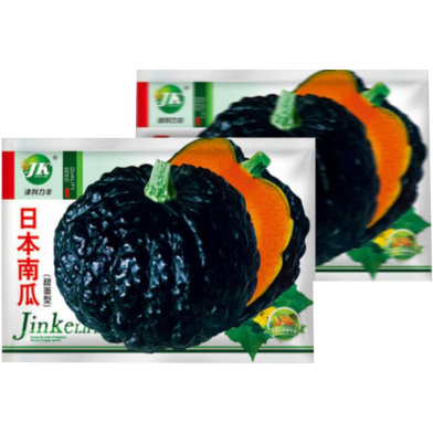 Japanese Black Pumpkin Seed image