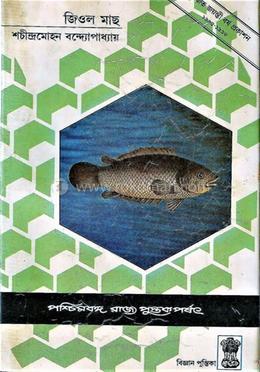 জিওল মাছ