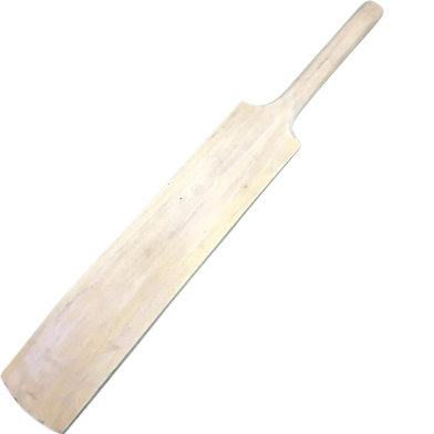 Join Less Cricket Bat L - Long 33 image