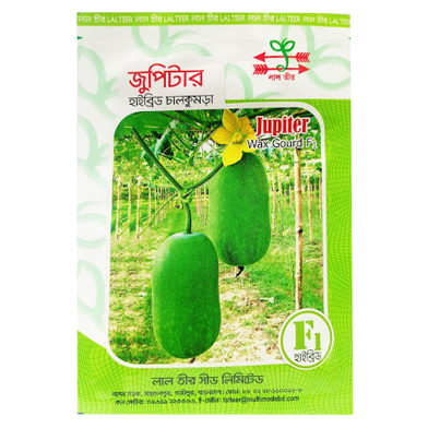 Jupiter Hybrid Wax Gourd Seeds (10gm) image