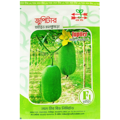 Jupiter Hybrid Wax Gourd Seeds (5gm) image