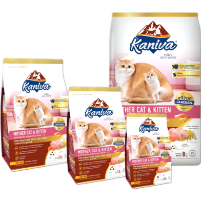 Kaniva Dry Cat Food Mother Cat and kitten - Chicken, Salmon and Rice For All Life Stages Cats | Dry Cat Food | Kitten 3 Week To 1 Year image
