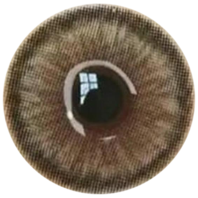 Ksseye Diamond,Norko Brown Contact Lens K100 Ksseye Color Contact Lenses With Kit Box FREE image