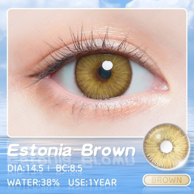 Ksseye Estonia Brown Color Contact Lens with Lens Kit Box image