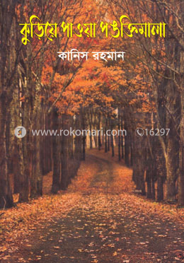 কুড়িয়ে পাওয়া পংক্তিমালা image