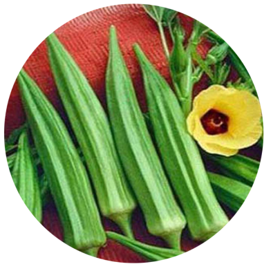 Ladies Finger Seeds - 10 Pcs image