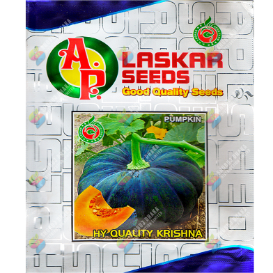 Laskar Pumpkin Black Seeds Imported Brand Intact Pack For Gardening 10gm image