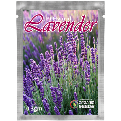 Lavender Seed Brand Intact Pack 0.3gm seeds image