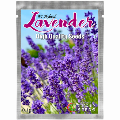 Lavender Seeds Intact Pack - 0.1 gm image