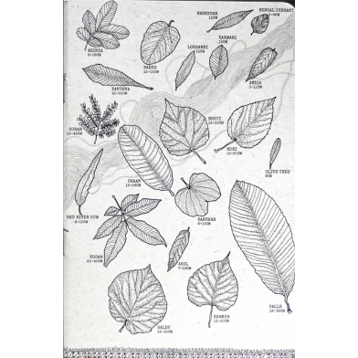 Leaves Notebook (SN202505196) image