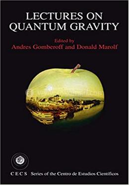 Lectures on Quantum Gravity