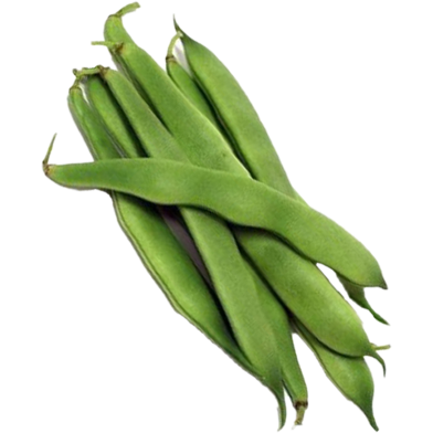 Long Bean Seeds - 10 Plus Pcs image