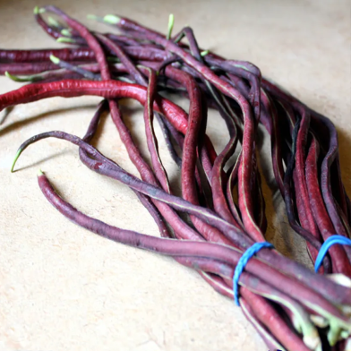 Long Bean Seeds - 20 Pcs image