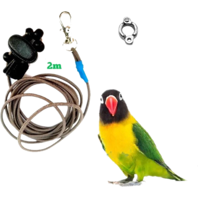 Lovebird Bird Anklet/ Foot Ring With 2m Elastic Harness Set image