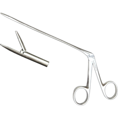 Musa Alligator Forceps 6 Inch image