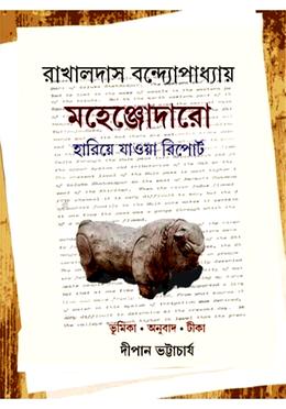 মহেঞ্জোদারো: হারিয়ে যাওয়া রিপোর্ট image