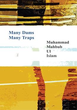 Many Dams Many Traps image