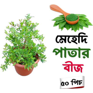 Mehedi patar seed 50 pcs image