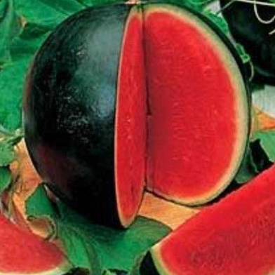 Melon King Watermelon Seeds 10 Pcs image