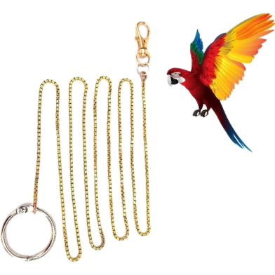 Metal Bird Foot Chain Harness and Leash Golden for All Bird image