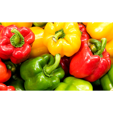 Mixed Colour Capsicum Seeds - 20 Pcs image