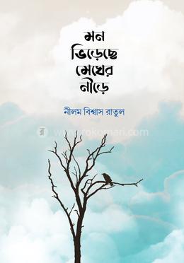 মন ভিড়েছে মেঘের নীড়ে image
