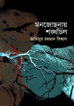 মনজোছনায় শঙ্খচিল