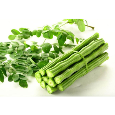 Moringa Seed Sajina image