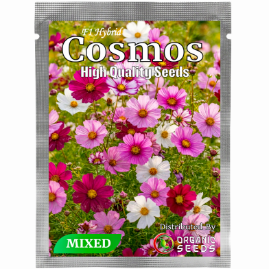 Multicolor Cosmos Flower Seeds 0.25 gm image