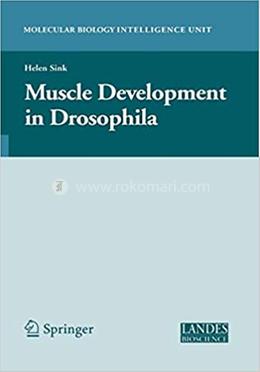 Muscle Development in Drosophilia