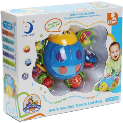 Musical Crawling Ladybug: Educational Toy for Kids - Light, Sound, Fun image