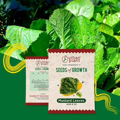 Mustard Leaves Seeds F1 image