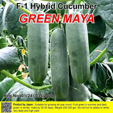 Naomi Seed Cucumber Green Maya - 1 gm image