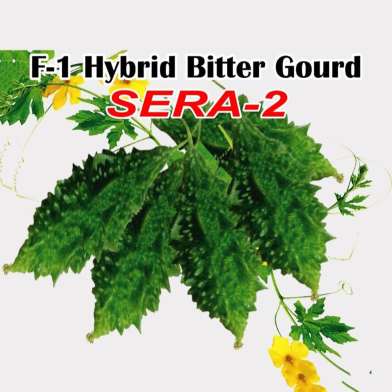Naomi Seed F-1-Hybrid Bitter Gourd 5 gram image