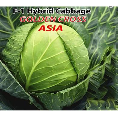 Naomi Seed Hybrid Cabbage Golden Cross Asia 1 gm image