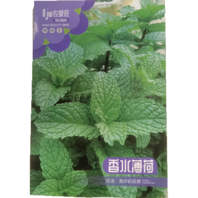 Naomi Mint Seeds Intact Pack (পুদিনা বীজ) - 1 gm image