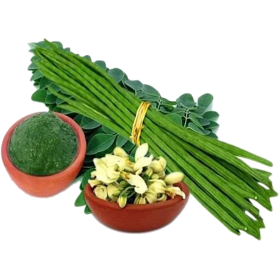 Naomi Seed Moringa Oleifera 10 gm image