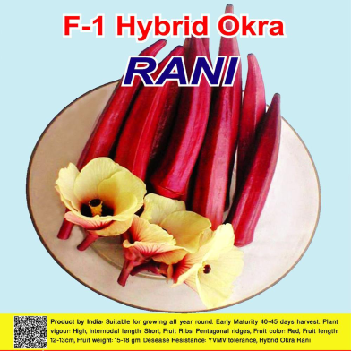 Naomi Seed Red Okra Rani - 5 gm image