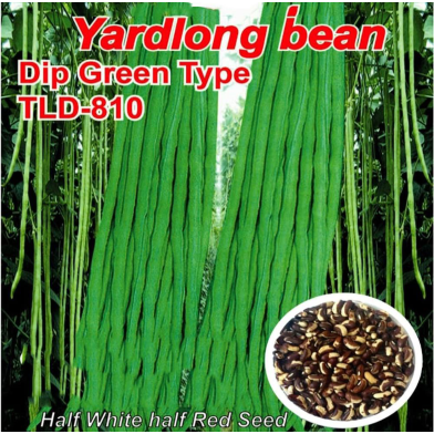 Naomi Seed Yardlong bean Dip Green Type 10 gm image